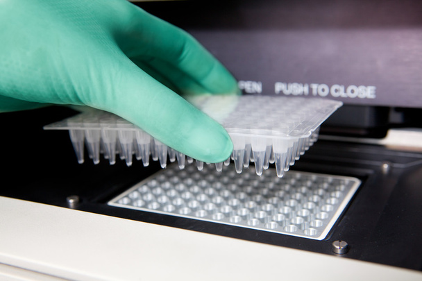 Green gloves, Thermal PCR cycler, DNA copy, close - Valokuva, kuva