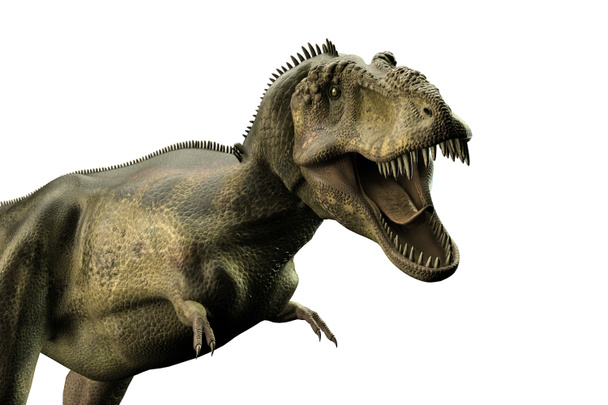 Illustration 3D d'un Tyrannosaurus rex isolé sur fond blanc
 - Photo, image