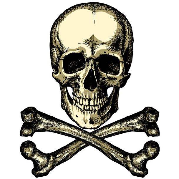 Череп и перекрещенные кости на пустом фоне
 - Вектор,изображение