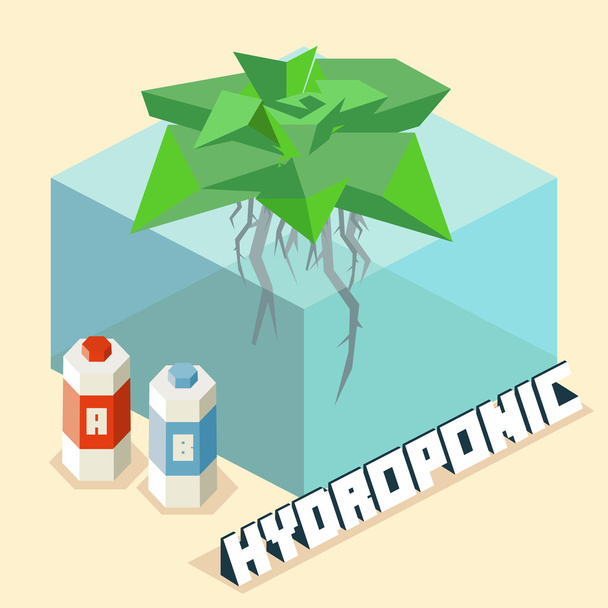 Hydroponic for home gardening  - Vector, Image