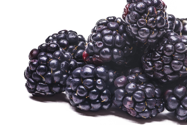Blackberries - Photo, Image