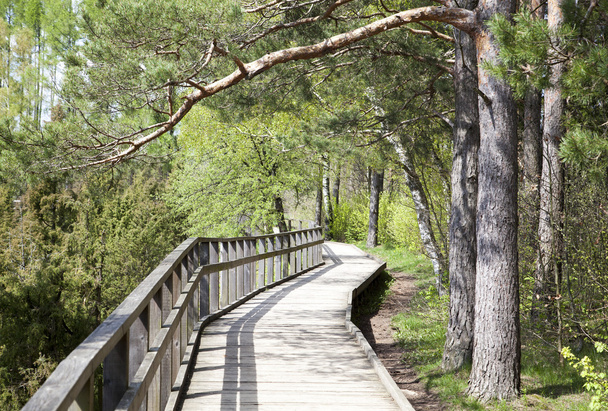 Maaseudun puinen polku
 - Valokuva, kuva