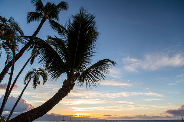 США - Гаваї - Мауї - пляжі Ка'анапалі - Фото, зображення