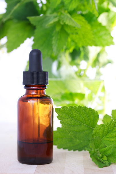 Herbal medicine with dropper bottle - Foto, immagini