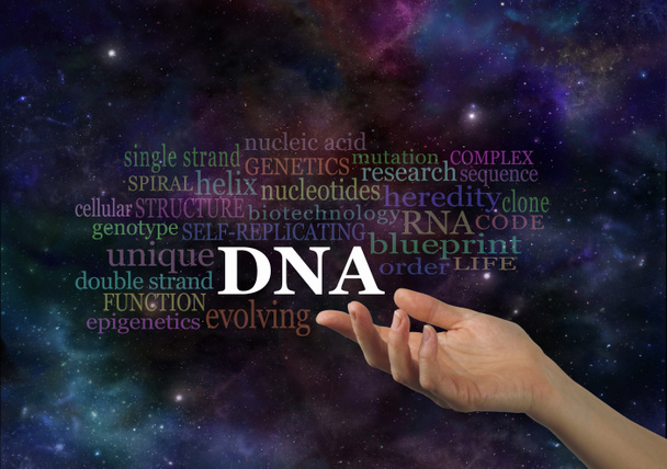 The Specifics of DNA  - Photo, Image
