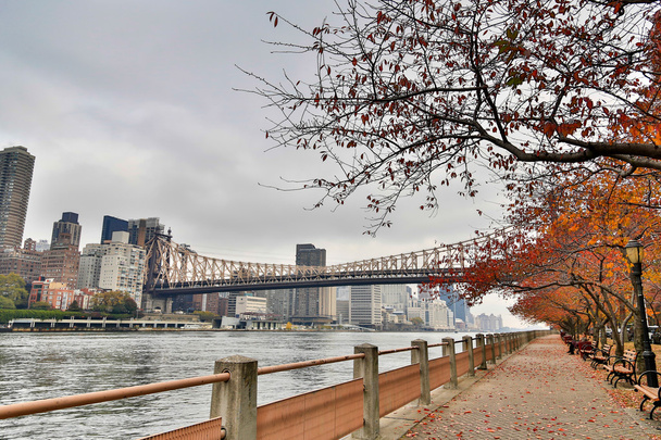 New York - Queensboron silta ja Rooseveltin saari
 - Valokuva, kuva