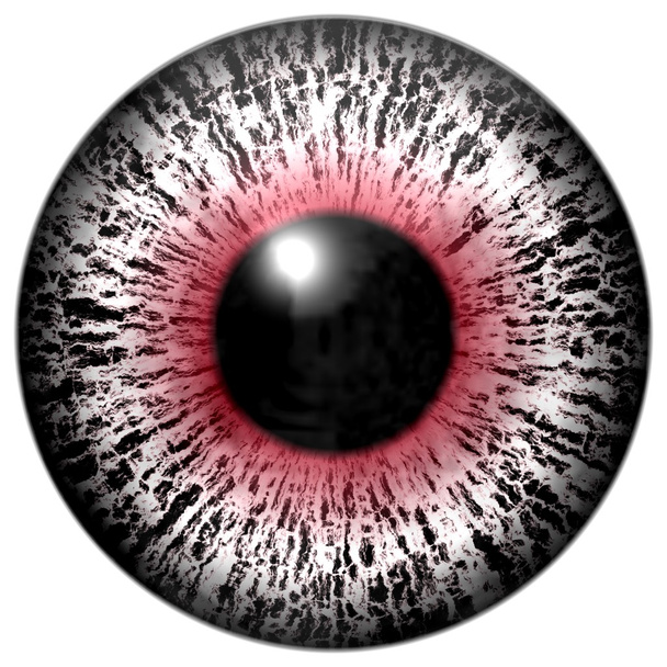 Detail van oog met rood, wit gekleurde iris en zwarte pupil - Foto, afbeelding