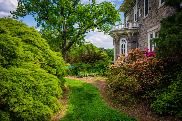 Trees and bushes behind the Cylburn Mansion at Cylburn Arboretum - Фото, зображення