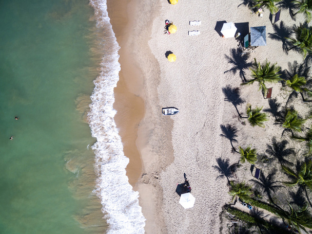 Playa tropical con palmeras - Foto, imagen