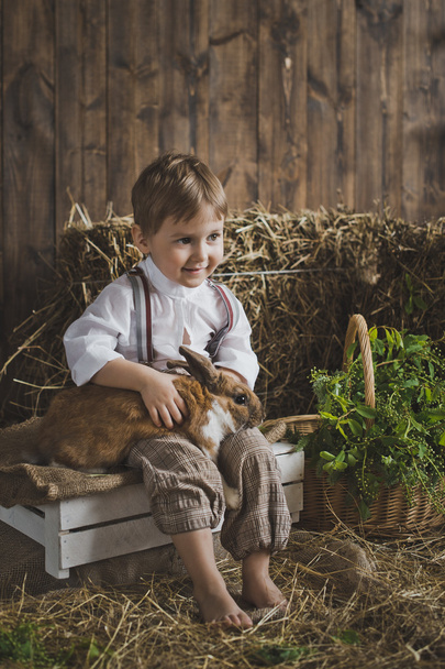 Portrait of a little boy playing with a rabbit 6047. - Foto, afbeelding
