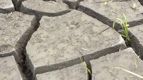 solo e grama durante rachaduras de seca
  - Foto, Imagem