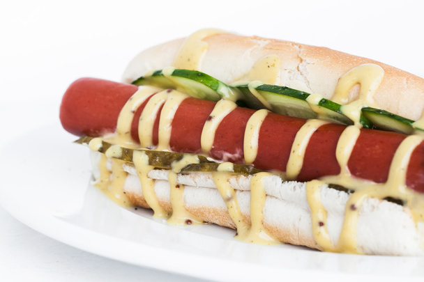 Fresh appetizing hot-dog  - Photo, image