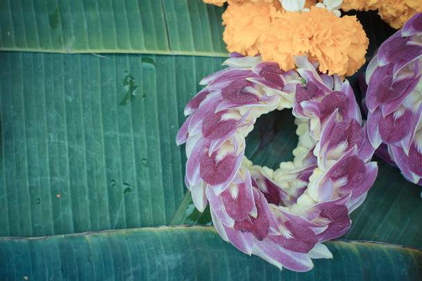 Цветок жасмина
 - Фото, изображение
