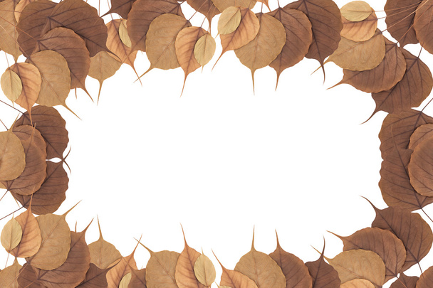 Dry leaves frame on white. - Foto, Imagen