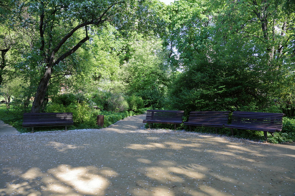 houten banken in het park - Foto, afbeelding