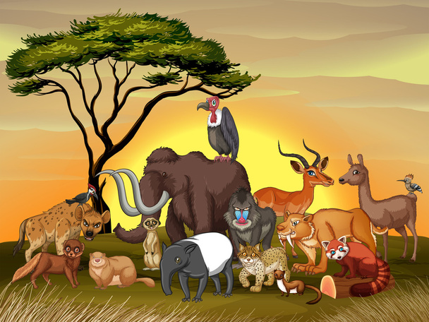 Vadon élő állatok a szavannák területén - Vektor, kép