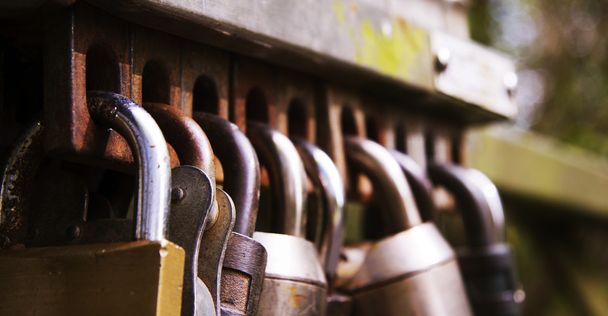 Group of padlocks on a gate - Photo, Image