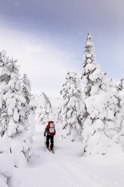 Skiers walking on snow covered mountain ranges, Ural, Russia - Photo, Image