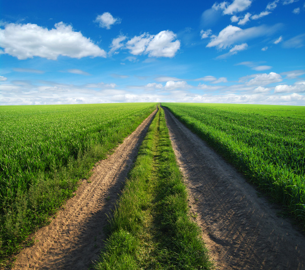 road in field  - Photo, Image