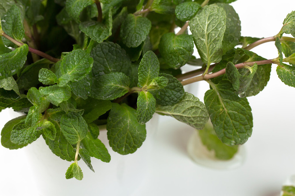 Fresh mint  on white table - Foto, afbeelding