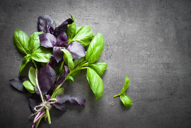 Green and purple basil. - Photo, Image