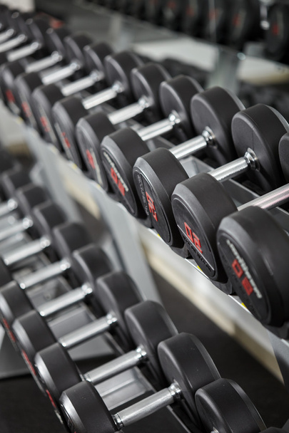 dumbbells in the gym, on the rack - Zdjęcie, obraz