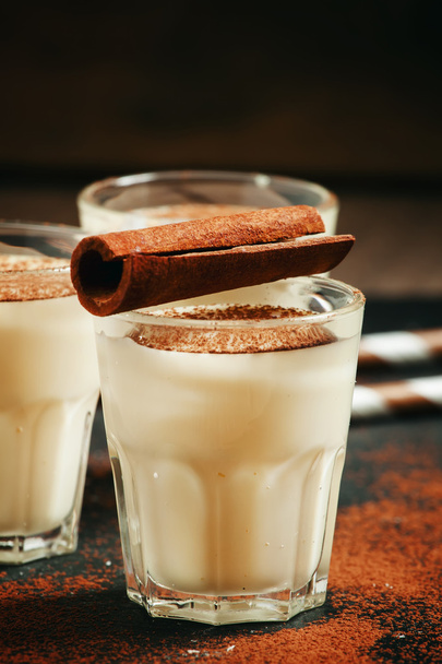 Traditional winter eggnog  with milk, rum and cinnamon - Photo, Image