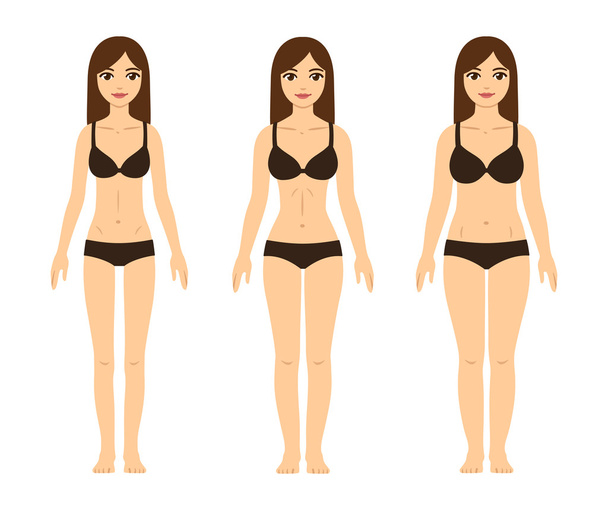 Female body types - Vektor, Bild