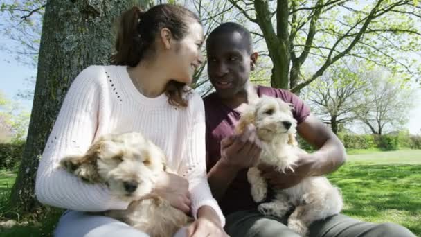 Couple relaxing in the park with puppies - Séquence, vidéo