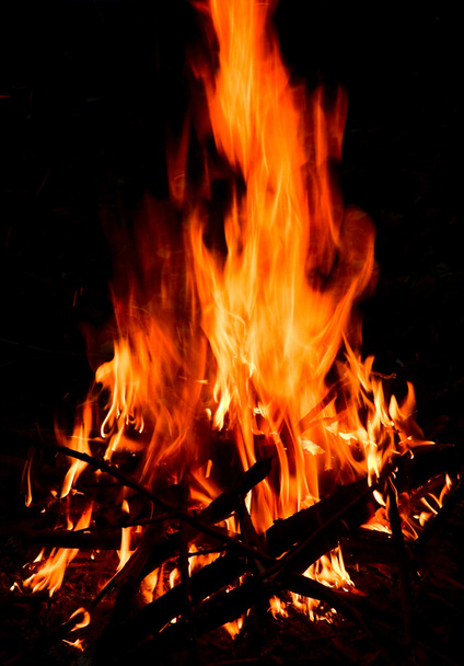 Bonfire - Foto, immagini