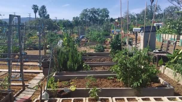 Garden plots shot on 4k on a beautiful day - Footage, Video