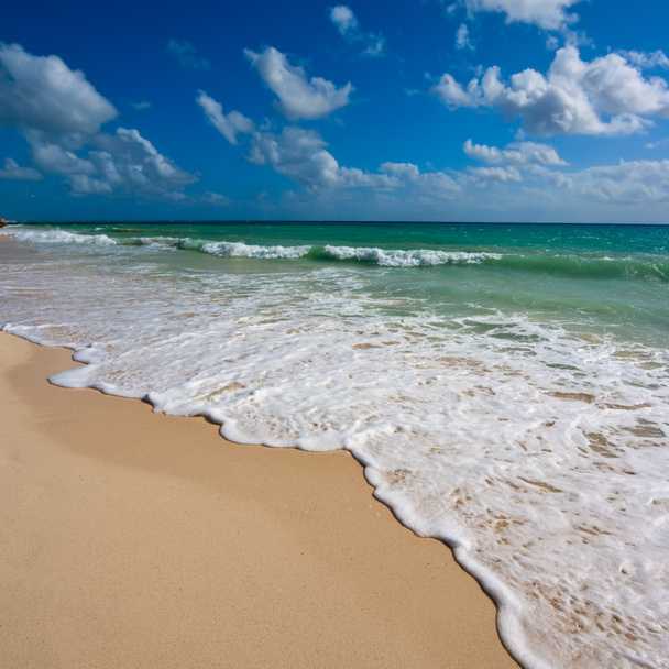 piękna plaża i morze - Zdjęcie, obraz