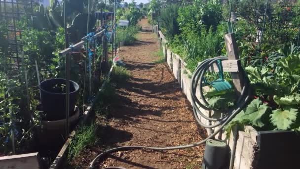 Superficie del giardino con trame in affitto girato in 4k
 - Filmati, video