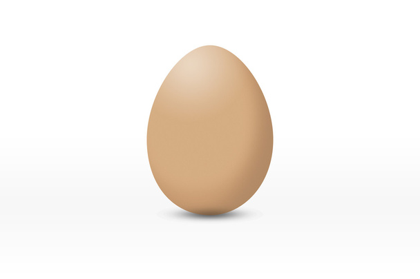 huevo sobre fondo blanco - Foto, imagen
