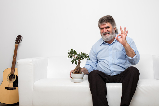 single old men on white couch with a bonsai - Zdjęcie, obraz
