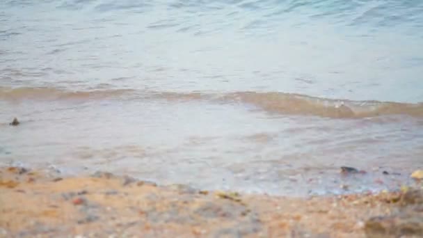 Dalgalar sahilde kıyıya yakın - Video, Çekim
