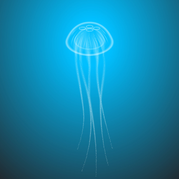 Marine life jellyfish with tentacles transparent underwater - Vector, Image