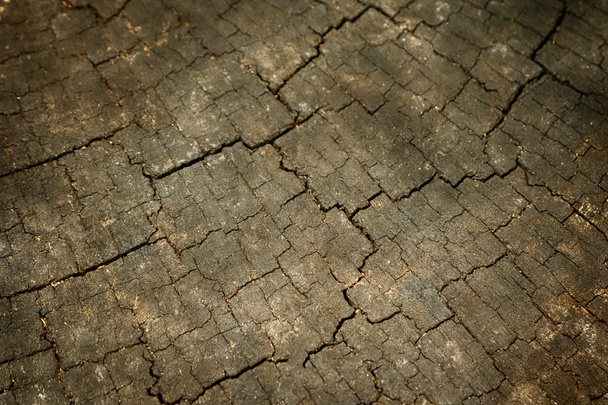 Old wood background and texture - Photo, Image