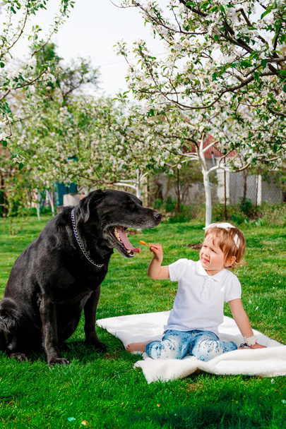 Černý labrador poblíž holčičku pomocí Tablet  - Fotografie, Obrázek