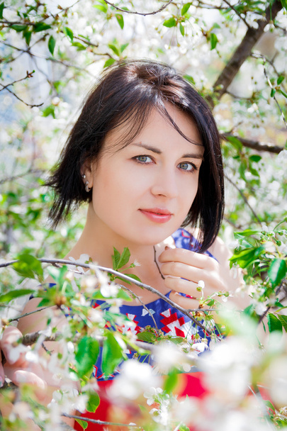 Beautiful woman among blossoming cherry  tree - Фото, изображение