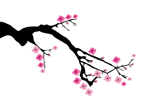 Vector Cherry Blossom - Vektör, Görsel