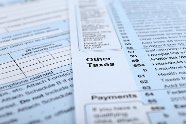 1040 Income Tax Form, close up - Фото, изображение