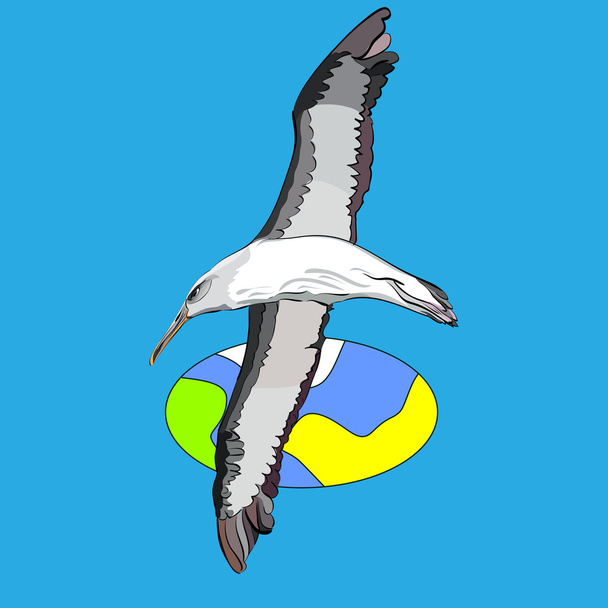 Векторна ілюстрація плаваючого морського птаха по всьому світу
 - Вектор, зображення