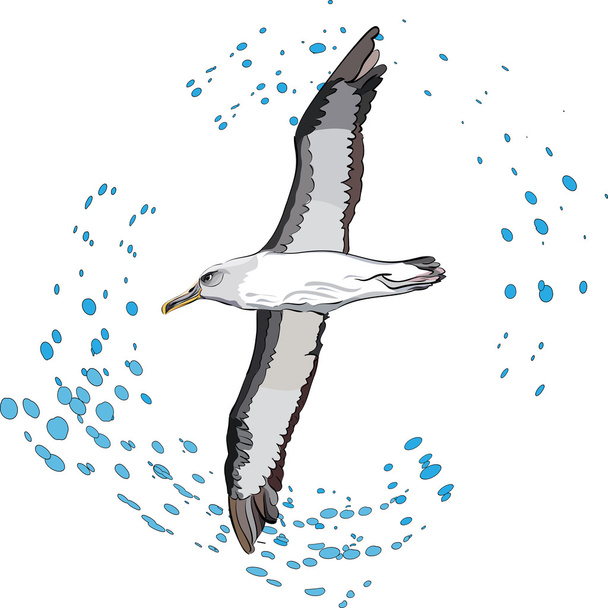 εικονογράφηση φορέας ενός πουλιού στη θάλασσα ολίσθηση σε όλο τον κόσμο - Διάνυσμα, εικόνα