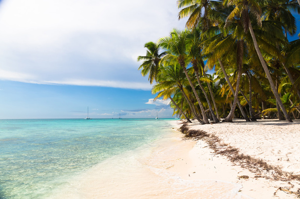 Karib-tenger strand Saona sziget, Dominikai Köztársaság - Fotó, kép