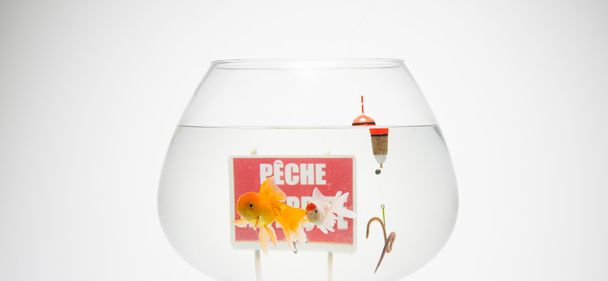 Fishbowl met verbod teken zonde GLB en haak  - Foto, afbeelding