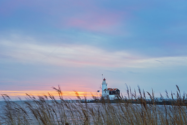 Кінь Marken маяк озером Ейсселмер Голландії Volendam Netherlan - Фото, зображення