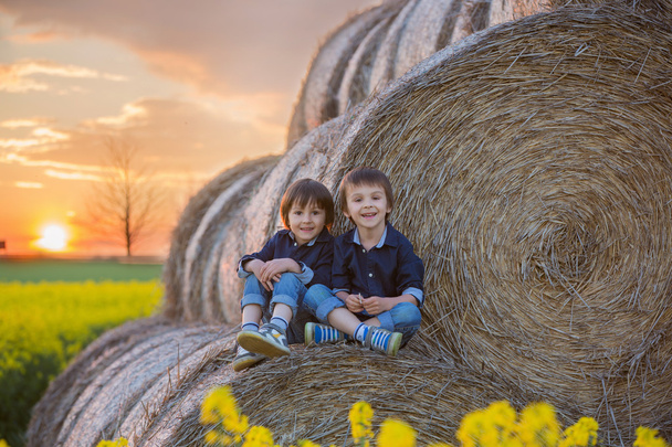Two children, boy brothers in a oilseed rape field, sitting on a - Foto, afbeelding