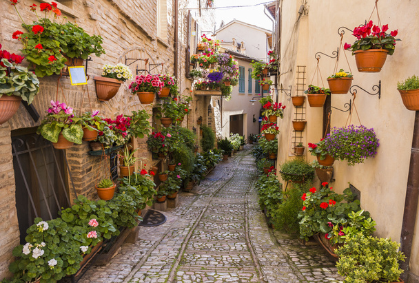 Kwiatowy ulice Spello w Umbrii, Włochy. - Zdjęcie, obraz