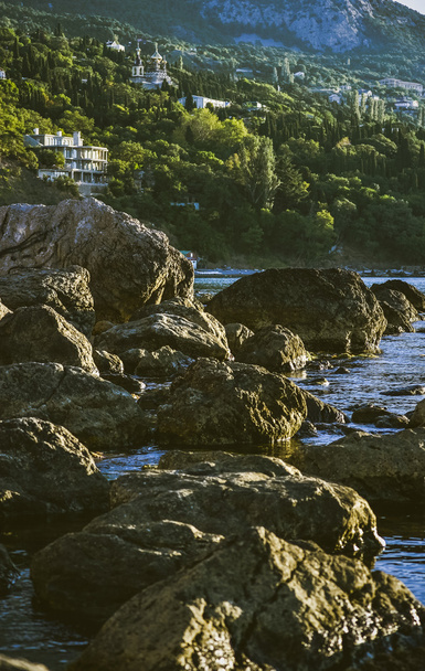 kameny v moři v blízkosti pobřeží s lesní - Fotografie, Obrázek